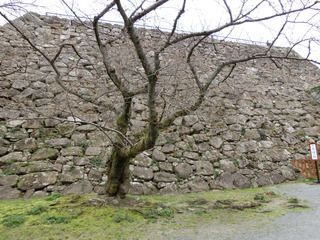 CIMG0636.JPG