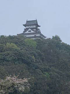 犬山城1 (2).jpg