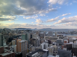 IMG_1900.jpg