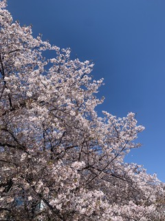 IMG_2164.jpg